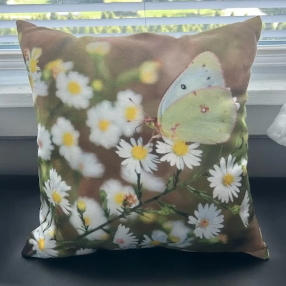 Butterfly Decorative Pilllow, Size 14x14
